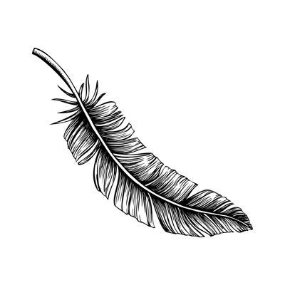 Bird feather sketch. Decorative spring drawing.Hand drawn vector illustration. Nature design element. NOT AI generated